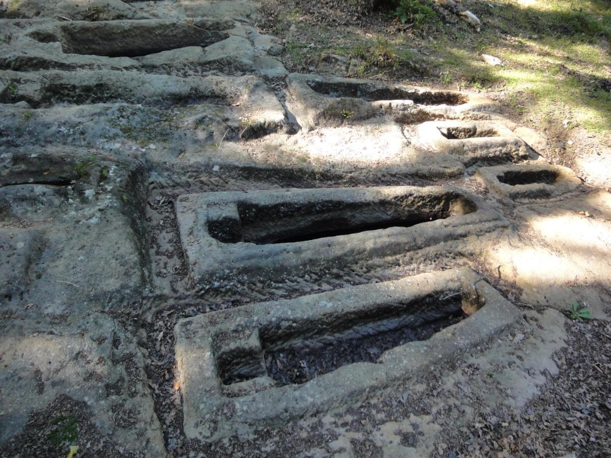 Villabascones de Sotoscueva El Mirador De Casa Guarenaゲストハウス エクステリア 写真